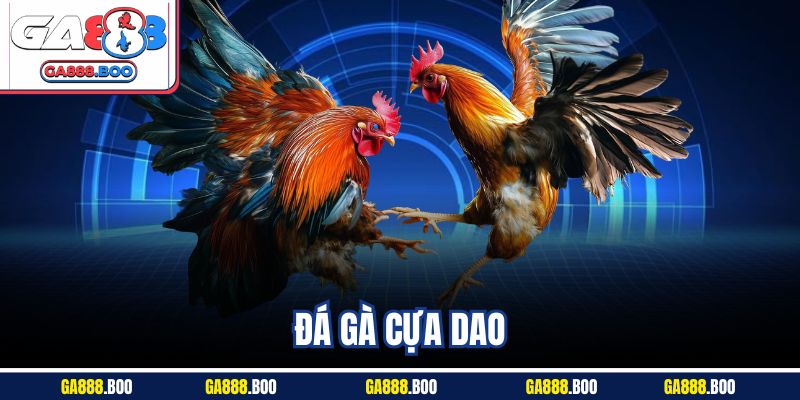 Đặt Cược Đá Gà Cựa Dao Thả Ga, Trả Thưởng Cao Tại Ga88