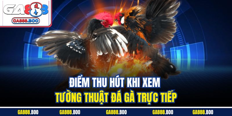 Điểm thu hút khi xem tường thuật đá gà trực tiếp