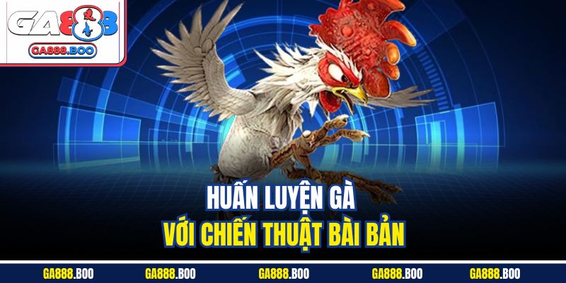 Huấn luyện gà với chiến thuật bài bản