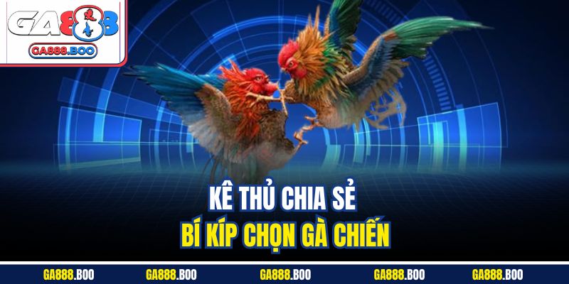 Kê thủ chia sẻ bí kíp chọn gà chiến