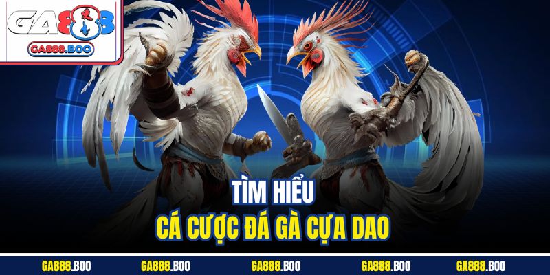 Tìm hiểu cá cược đá gà cựa dao 