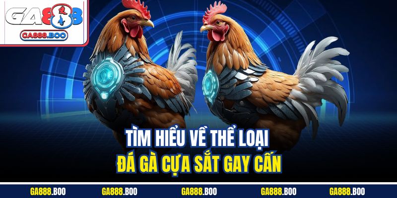 Tìm hiểu về thể loại đá gà cựa sắt gay cấn