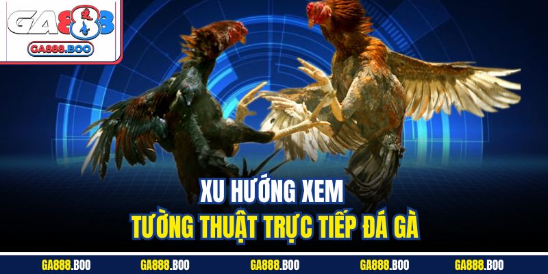 Xu hướng xem tường thuật trực tiếp đá gà